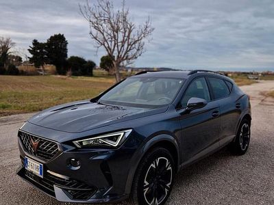Grigio Usata 2024 Cupra Formentor SUV | 29.900 € (Buon prezzo)