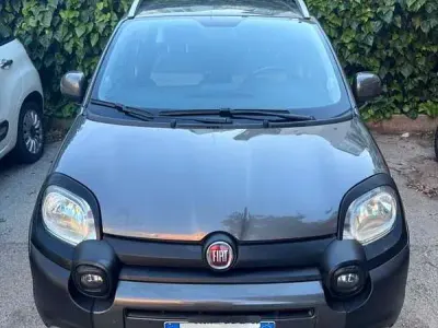 Usata Fiat Panda Cross Cross 69 CV (50 kW) 2022 Grigio Utilitaria