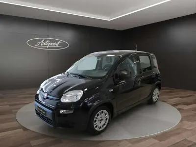 Usata Fiat Panda S 69 CV (50 kW) 2023 Nero Utilitaria