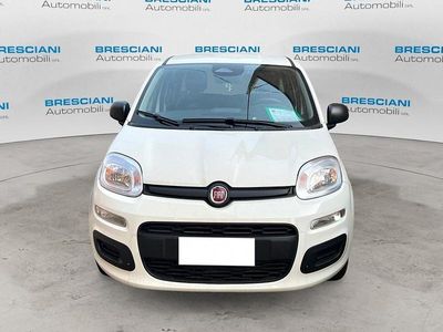 Nuova Fiat Panda Icon 70 CV (51 kW) 2025 Bianco Utilitaria
