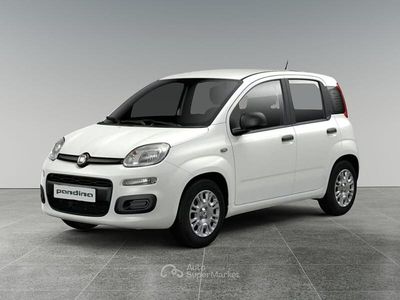 Nuova Fiat Panda Icon 69 CV (50 kW) 2025 Bianco Berlina