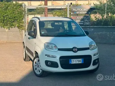 Usata Fiat Panda Lounge 80 CV (58 kW) 2015 Bianco Utilitaria