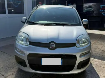 Usata Fiat Panda Lounge 69 CV (50 kW) 2019 Argento Utilitaria