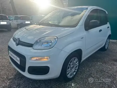 Usata Fiat Panda Easy 69 CV (50 kW) 2020 Bianco Utilitaria