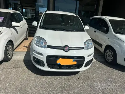 Usata Fiat Panda Easy 69 CV (50 kW) 2020 Bianco Utilitaria