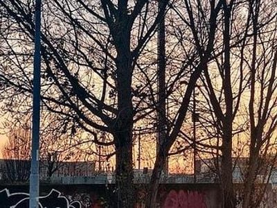 Usata Cupra Leon 209 CV (153 kW) 2003 Nero Berlina