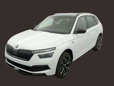 usata Skoda Kamiq 1.0 TSI 110 CV 1.0 TSI 110 CV DSG Monte Carlo