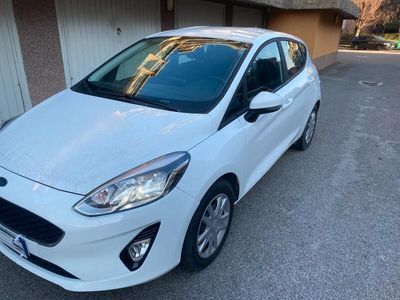 usata Ford Fiesta 1.0 Ecoboost Hybrid 125 CV 5 porte Connect