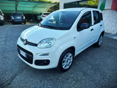 Usata Fiat Panda