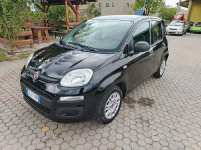 Usata Fiat Panda Easy 69 CV (50 kW) 2021 Nero Utilitaria