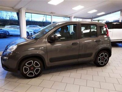 usata Fiat Panda Cross 1.0 FireFly S&S Hybrid City usato