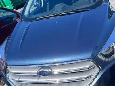 Usata Ford Kuga Business Edition 120 CV (88 kW) 2019 SUV