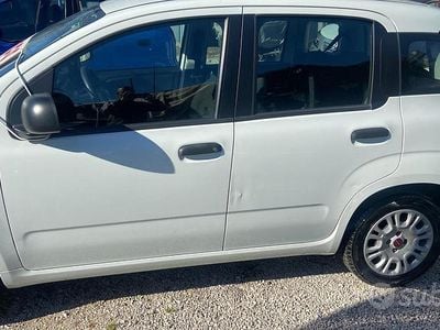 Usata Fiat Panda 69 CV (50 kW) 2020 Utilitaria