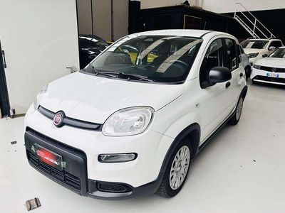 Usata Fiat Panda S 69 CV (50 kW) 2024 Bianco Utilitaria