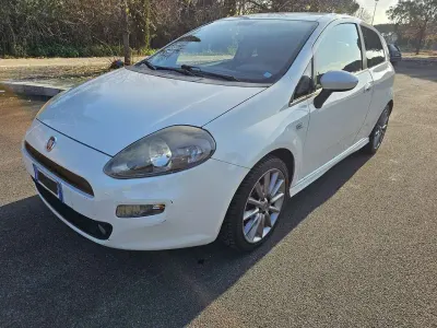 Usata Fiat Punto Lounge 75 CV (55 kW) 2015 Bianco Utilitaria