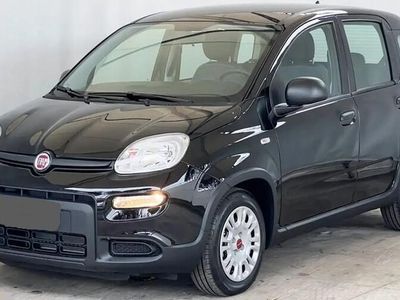 usata Fiat Panda Hybrid 1.0 Fire Fly