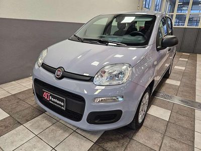Usata Fiat Panda Easy 69 CV (50 kW) 2020 Grigio Utilitaria