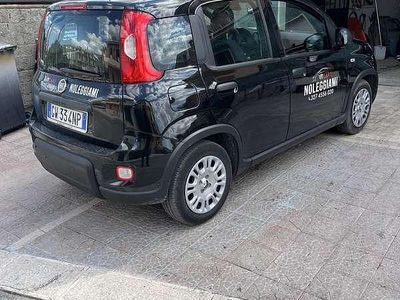 Usata Fiat Panda Icon 69 CV (50 kW) 2025 Utilitaria
