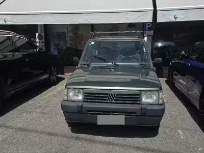 Usata Fiat Panda 4x4 50 CV (36 kW) 1987 Verde Utilitaria
