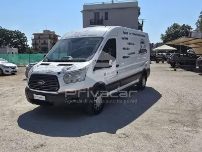 Usata Ford Transit