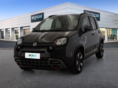 usata Fiat Panda Cross 1.0 FireFly 70cv S&S Hybrid