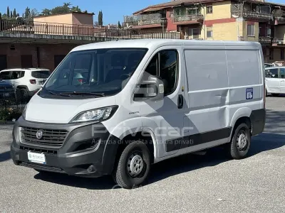 Usata Fiat Ducato 120 CV (88 kW) 2020 Bianco Furgone