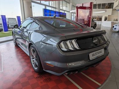 usata Ford Mustang GT Fastback 5.0 V8 aut.