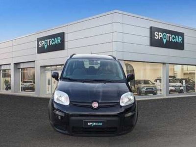 usata Fiat Panda Cross 1.0 FireFly S&S Hybrid City del 2021 usata a Imola