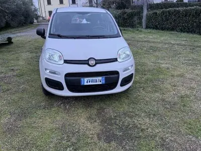 Usata Fiat Panda Easy 69 CV (50 kW) 2017 Utilitaria