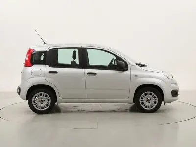 Usata Fiat Panda Easy 69 CV (50 kW) 2017 Utilitaria