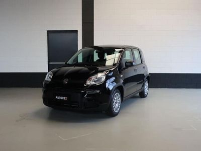 usata Fiat Panda 1.0 1.0 FireFly S&S Hybrid per neopatentati