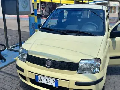 Usata Fiat Panda Active 54 CV (39 kW) 2009 Utilitaria