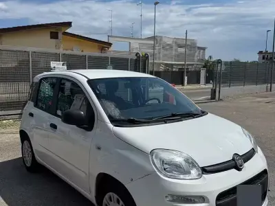 Usata Fiat Panda 69 CV (50 kW) 2016 Bianco Utilitaria