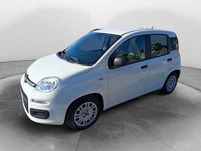 Usata Fiat Panda S 70 CV (51 kW) 2021 Bianco Utilitaria