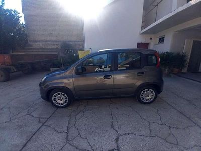 Usata Fiat Panda