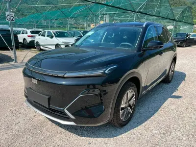 Usata Geely Starray