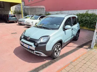Usata Fiat Panda Launch Edition 69 CV (50 kW) 2020 Verde Utilitaria