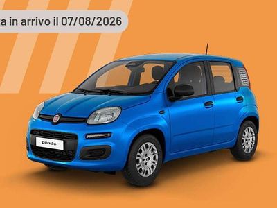 Nuova Fiat Panda Icon 65 CV (47 kW) 2026 Argento Utilitaria