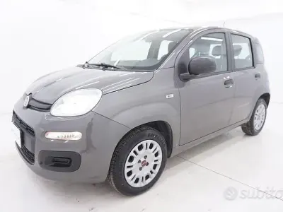 Usata Fiat Panda Easy 69 CV (50 kW) 2021 Grigio Utilitaria