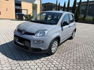 Usata Fiat Panda S 69 CV (50 kW) 2023 Utilitaria
