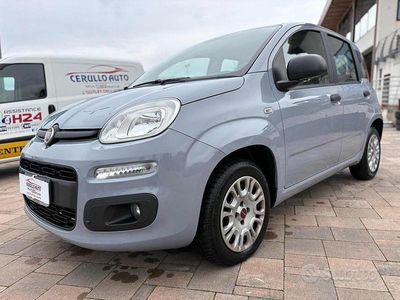Usata Fiat Panda Lounge 69 CV (50 kW) 2019 Grigio Utilitaria