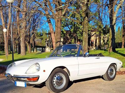 Usata Alfa Romeo Spider 118 CV (86 kW) 1969 Bianco Cabrio