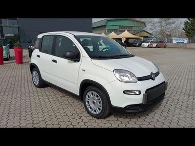 usata Fiat Panda 2ª serie NUOVA My23 1.0 70cv Hybrid