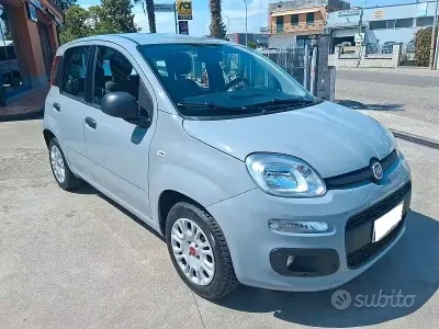 Usata Fiat Panda Easy 69 CV (50 kW) 2020 Grigio Utilitaria