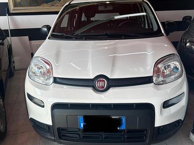 Usata Fiat Panda S 69 CV (50 kW) 2024 Bianco Utilitaria