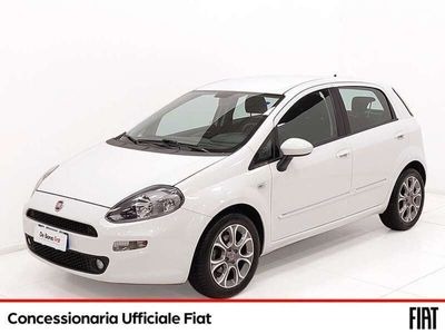 usata Fiat Punto 5p 1.3 mjt ii 16v lounge s&s 95cv my13