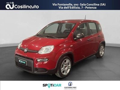 Usata Fiat Panda City Life 69 CV (50 kW) 2024 Rosso Utilitaria