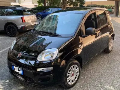 Usata Fiat Panda Easy 69 CV (50 kW) 2020 Nero Utilitaria