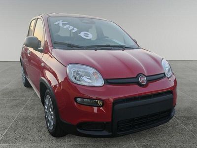Usata Fiat Panda S 69 CV (50 kW) 2024 Rosso Utilitaria