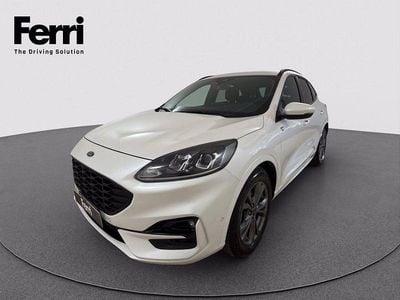 Usata Ford Kuga ST-Line 190 CV (139 kW) 2023 Bianco perlescente SUV